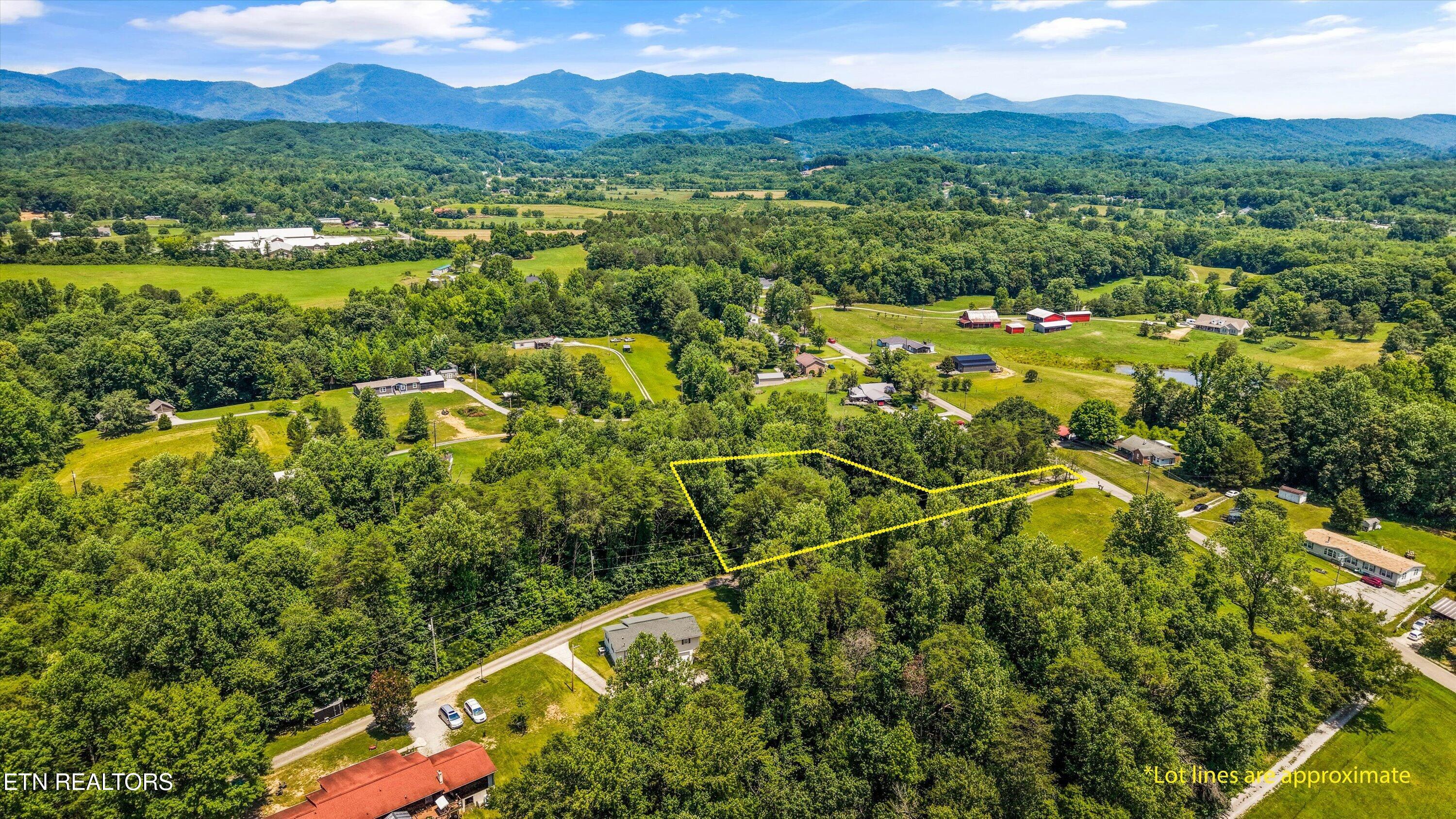 250 Ollis Road Oliver Springs, TN 37840 - Photo 47 of 47 Ariel View - Estimated Lot Lines