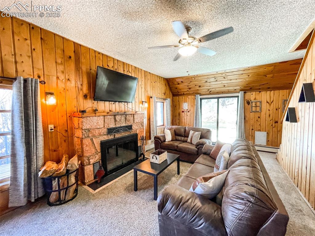 6025 Sioux Trail Cascade, CO 80809 - Photo 12 of 42 a living room with furniture a flat screen tv and a fireplace