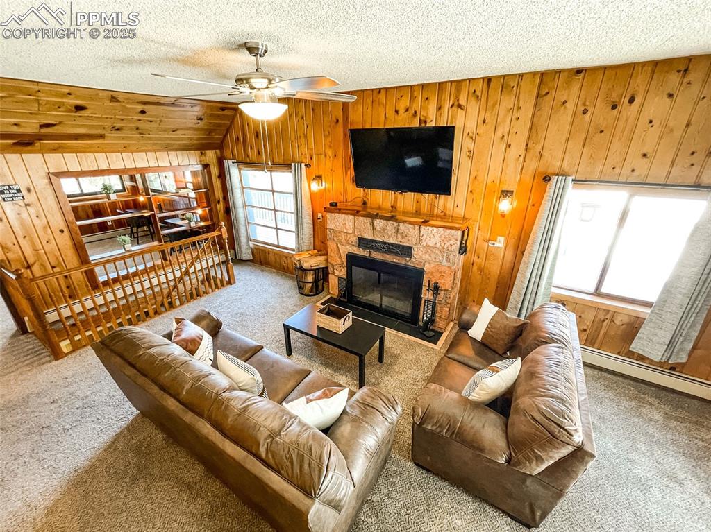 6025 Sioux Trail Cascade, CO 80809 - Photo 13 of 42 a living room with furniture a flat screen tv and a fireplace