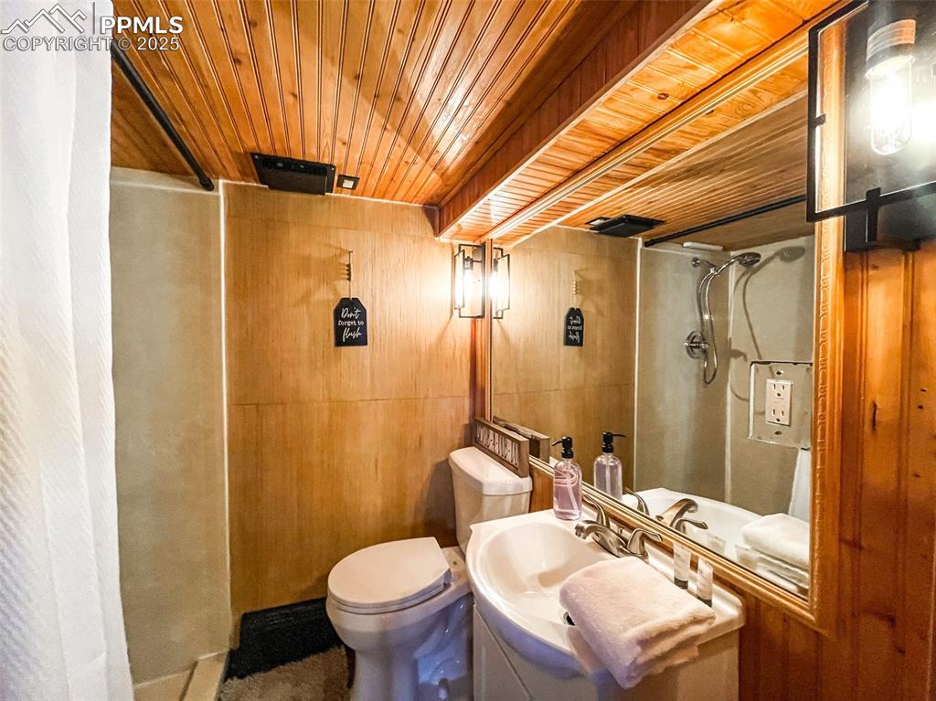 6025 Sioux Trail Cascade, CO 80809 - Photo 33 of 42 a bathroom with a sink toilet and shower