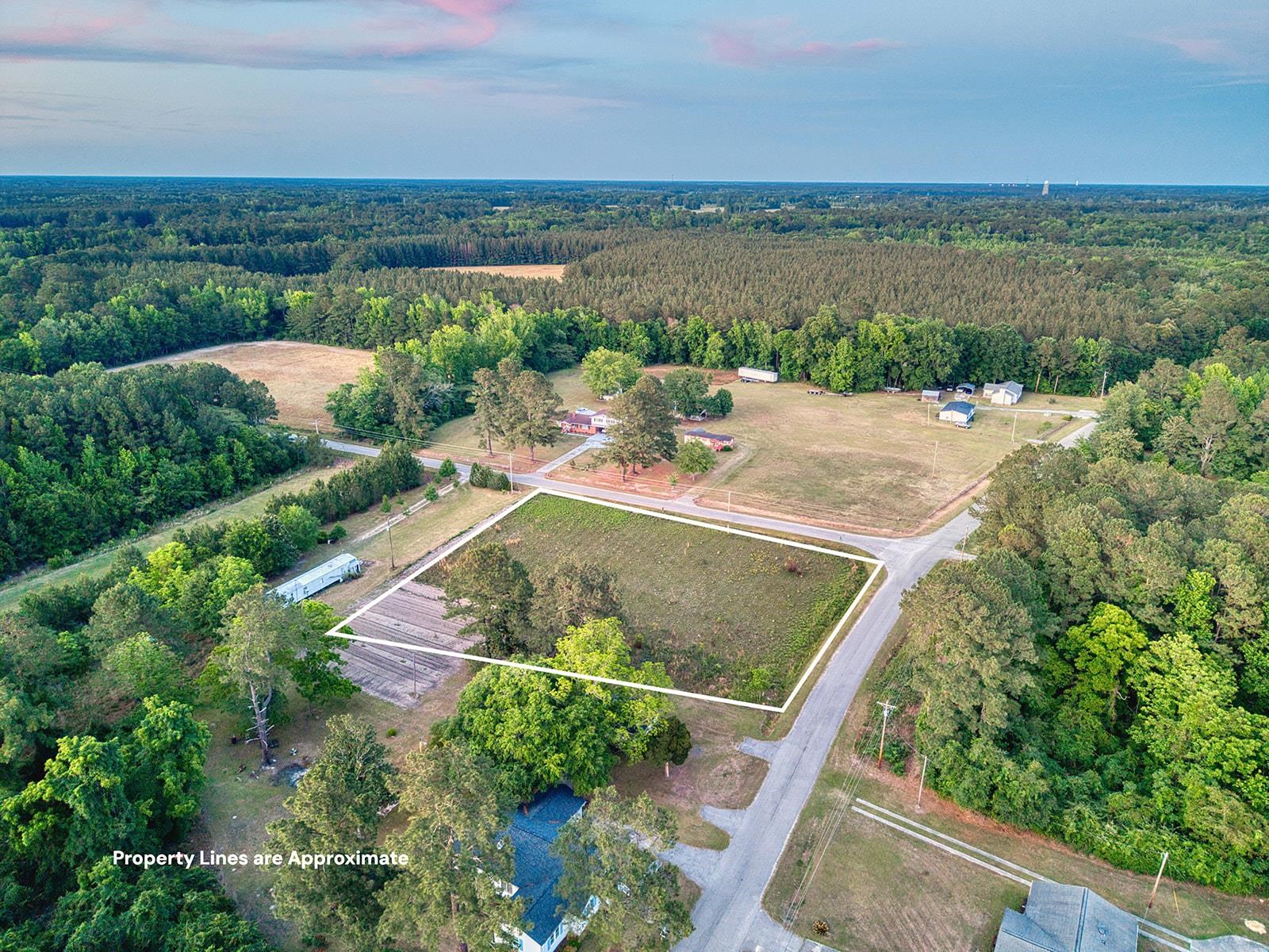 Tbd Whack Road Greeleyville, SC 29056 - Photo 2 of 9