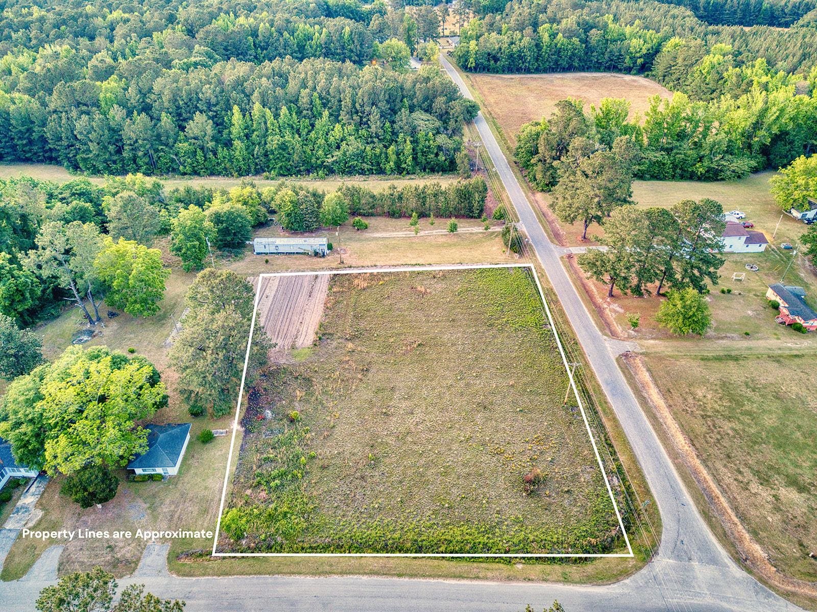 Tbd Whack Road Greeleyville, SC 29056 - Photo 3 of 9
