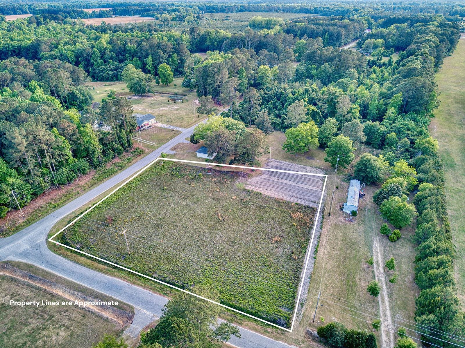 Tbd Whack Road Greeleyville, SC 29056 - Photo 4 of 9
