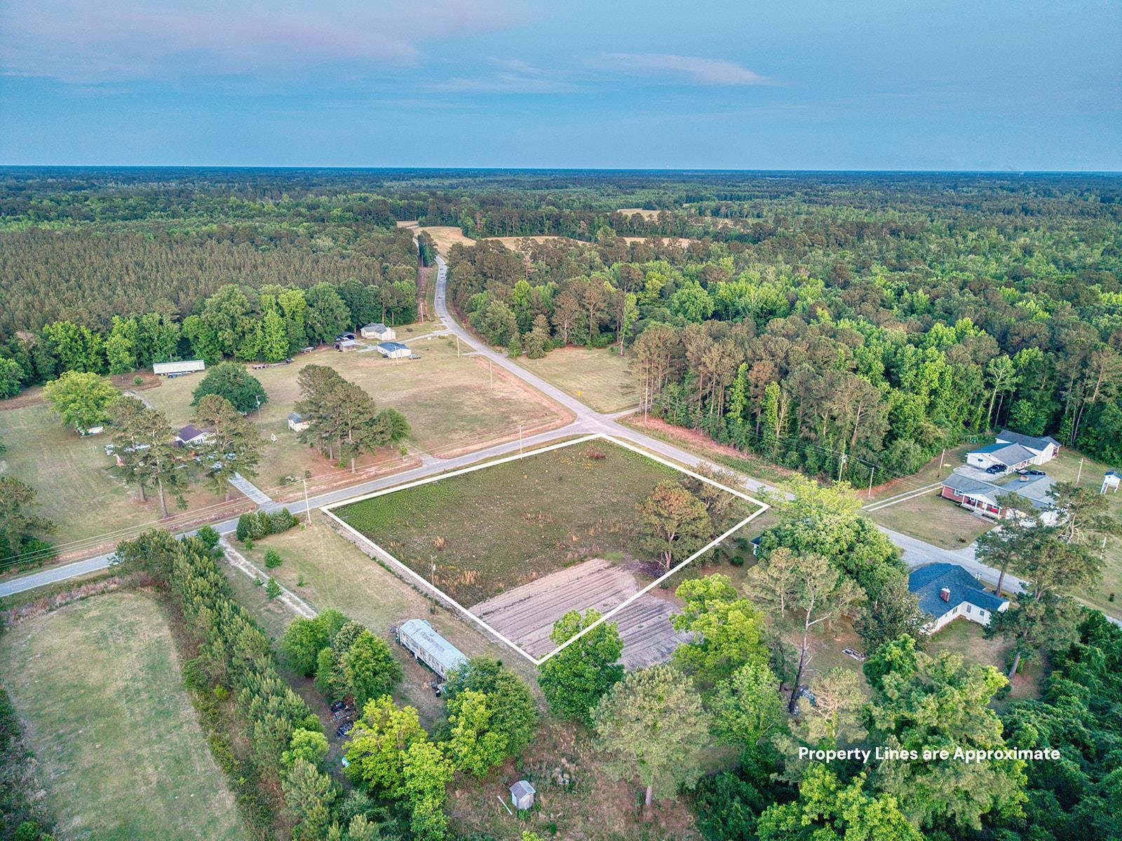 Tbd Whack Road Greeleyville, SC 29056 - Photo 5 of 9