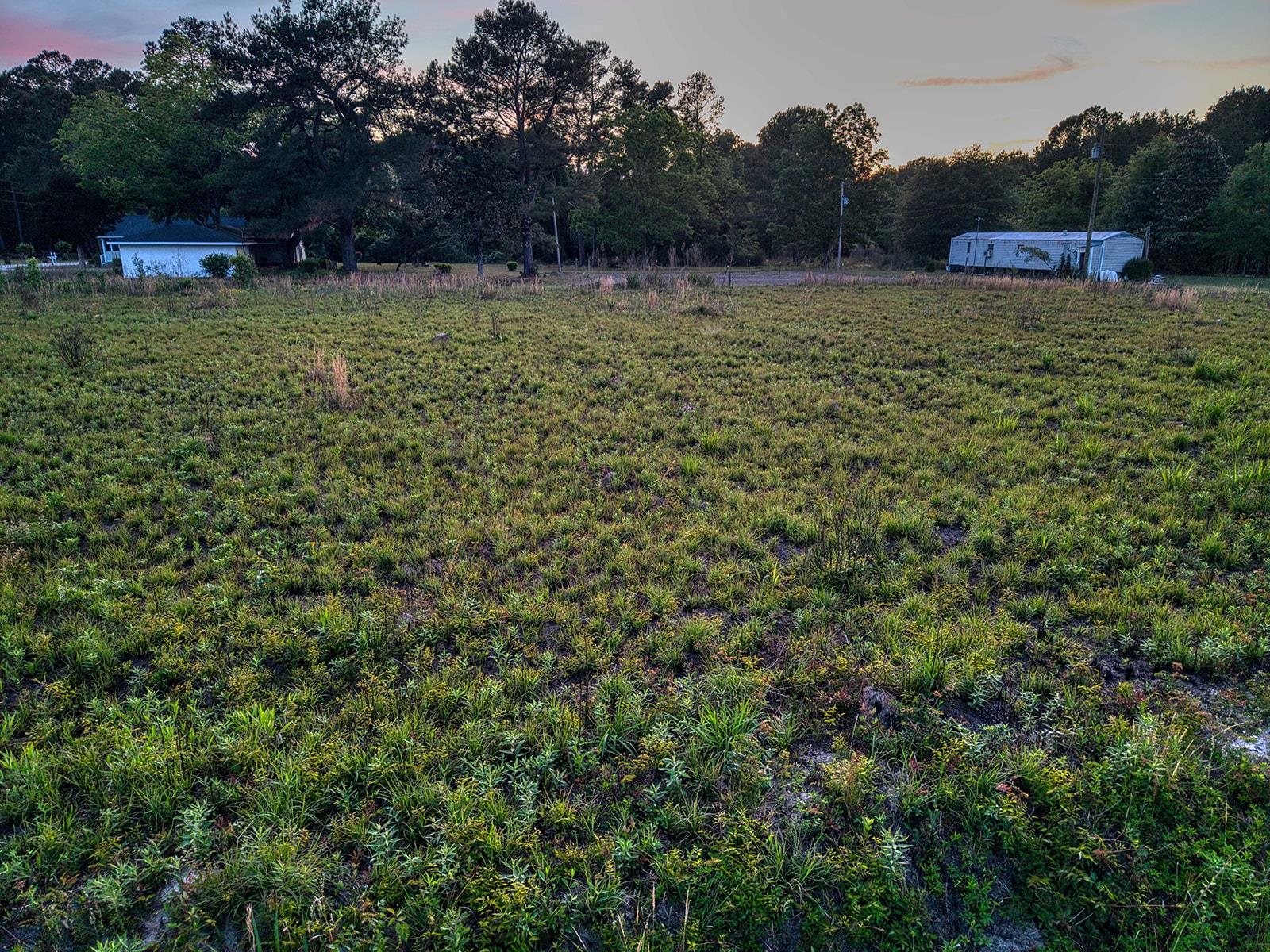 Tbd Whack Road Greeleyville, SC 29056 - Photo 7 of 9