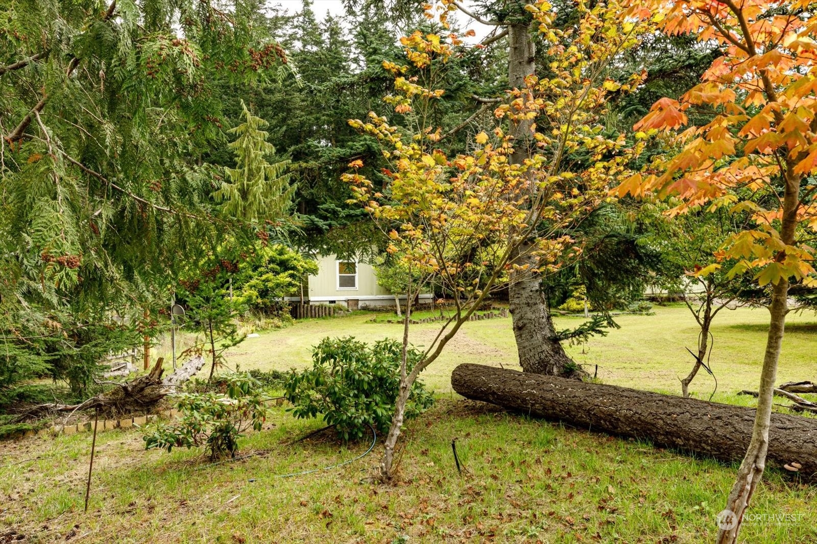 76 East Morris Road Coupeville, WA 98239 - Photo 30 of 40 Gallery Image 30
