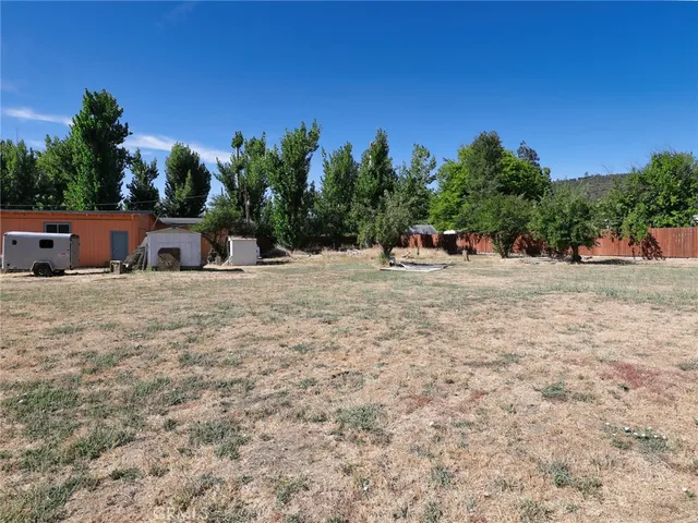 a row of trees with a house in the background