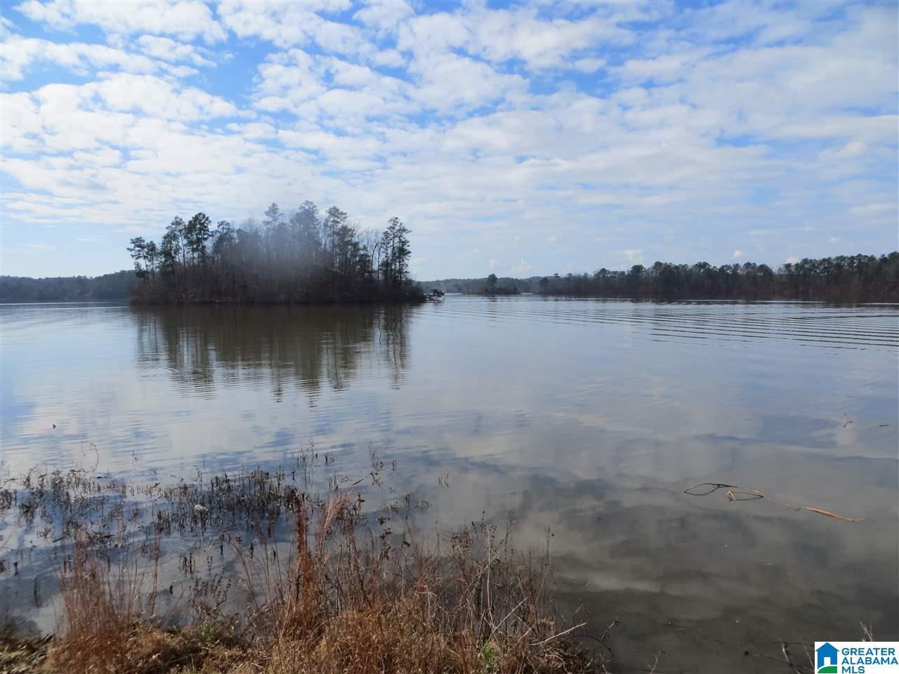Lot 11 Eagle Mountain Road, Unit 11 Alexander City, AL 35010 - Photo 5 of 11