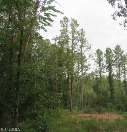 8 Walker Road Elkin, NC 28621 - Photo 3 of 6 Gallery Image 3