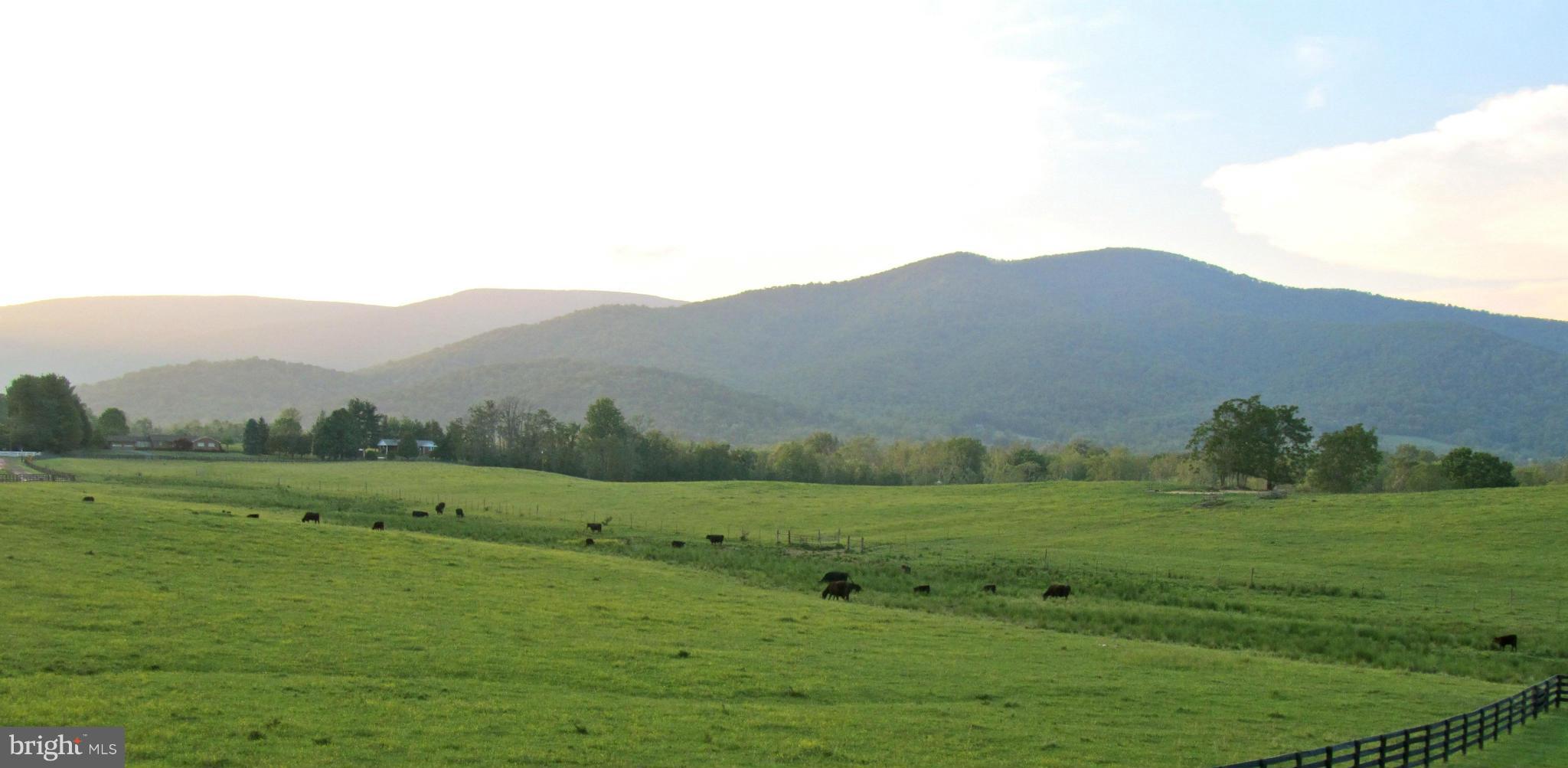 32 Harris Hollow Road Washington, VA 22747 - Photo 2 of 24 View of mountains at sunset