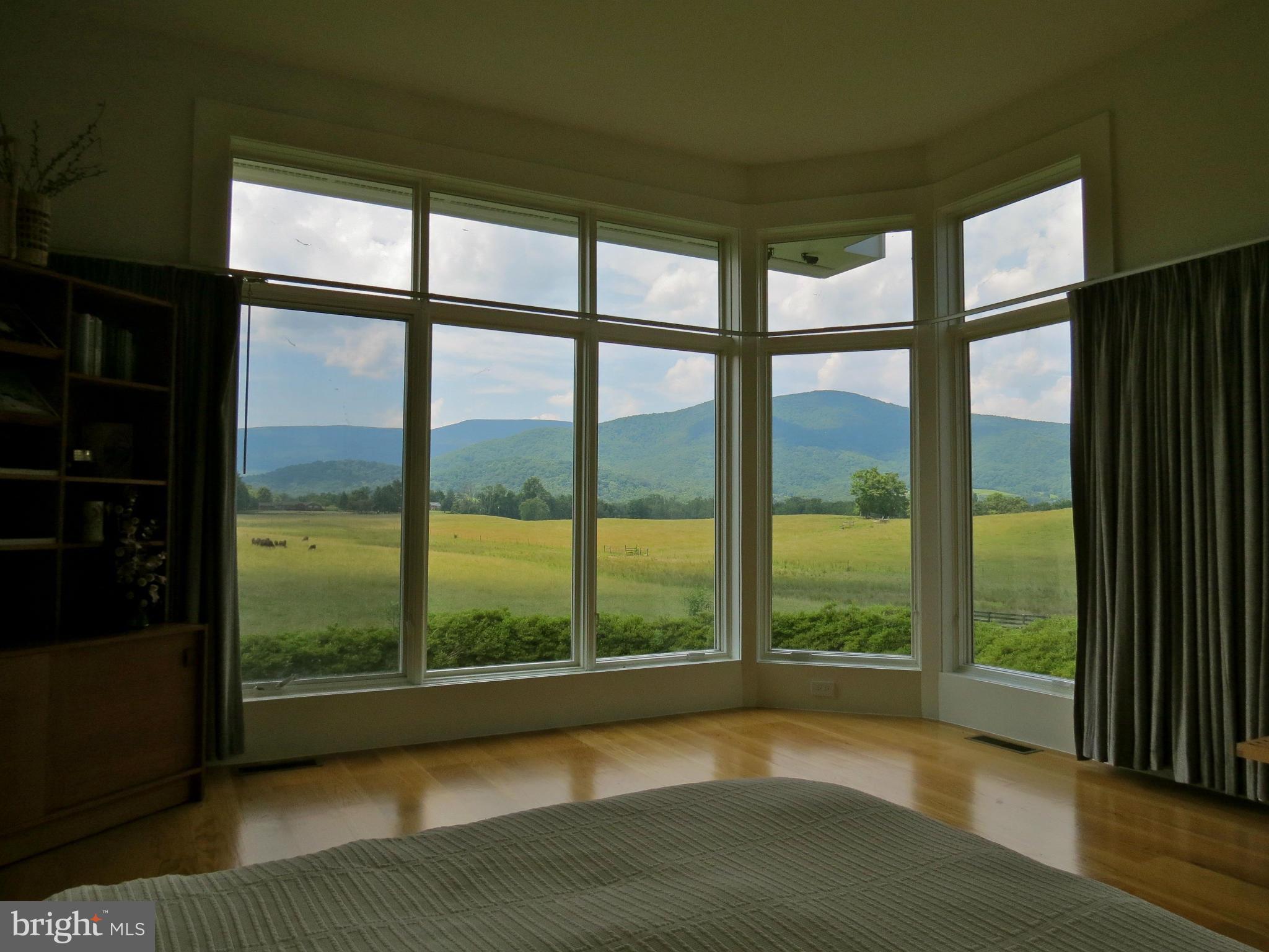 32 Harris Hollow Road Washington, VA 22747 - Photo 14 of 24 View from the 1st Master Bedroom