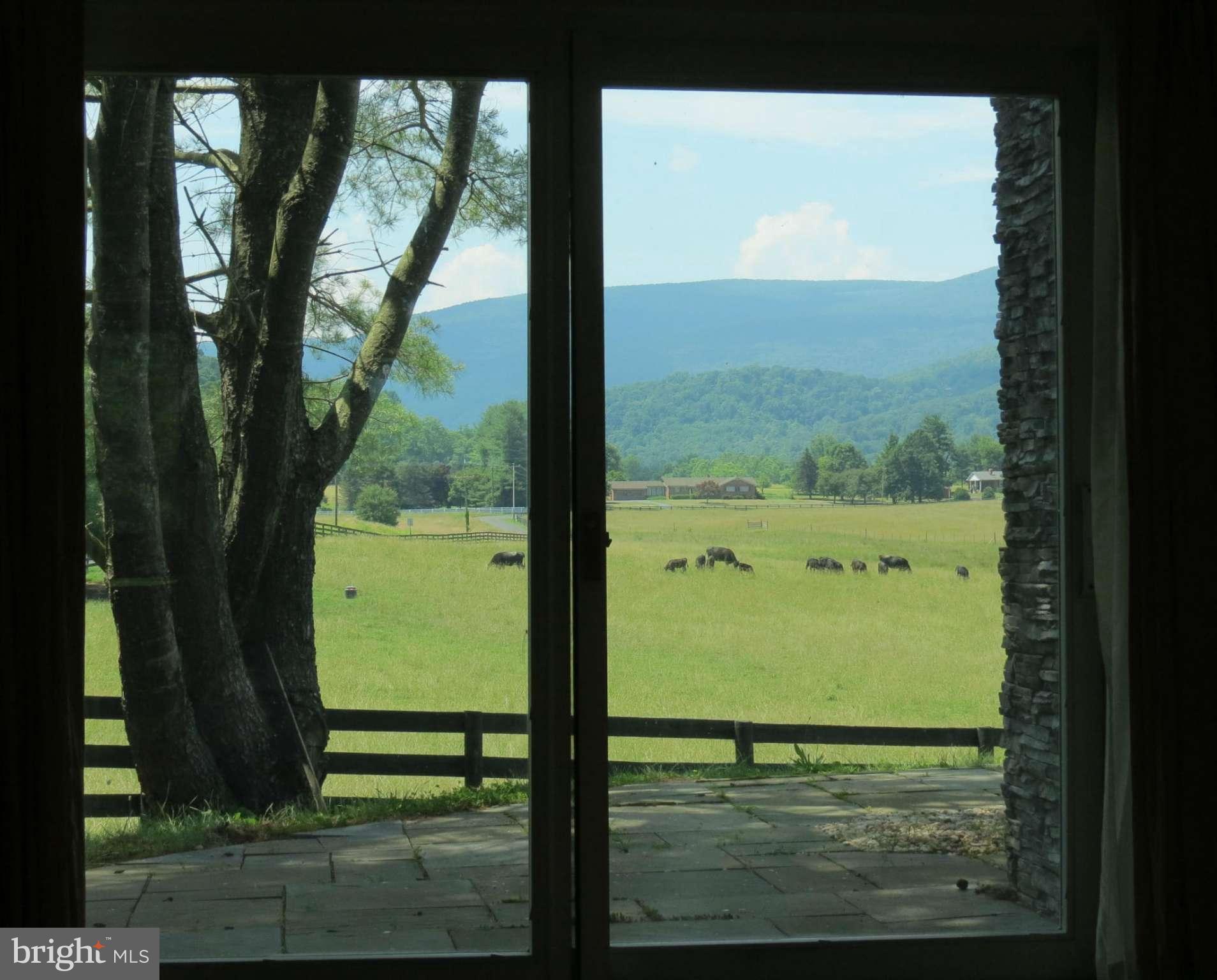 32 Harris Hollow Road Washington, VA 22747 - Photo 19 of 24 View from the 2nd MBR