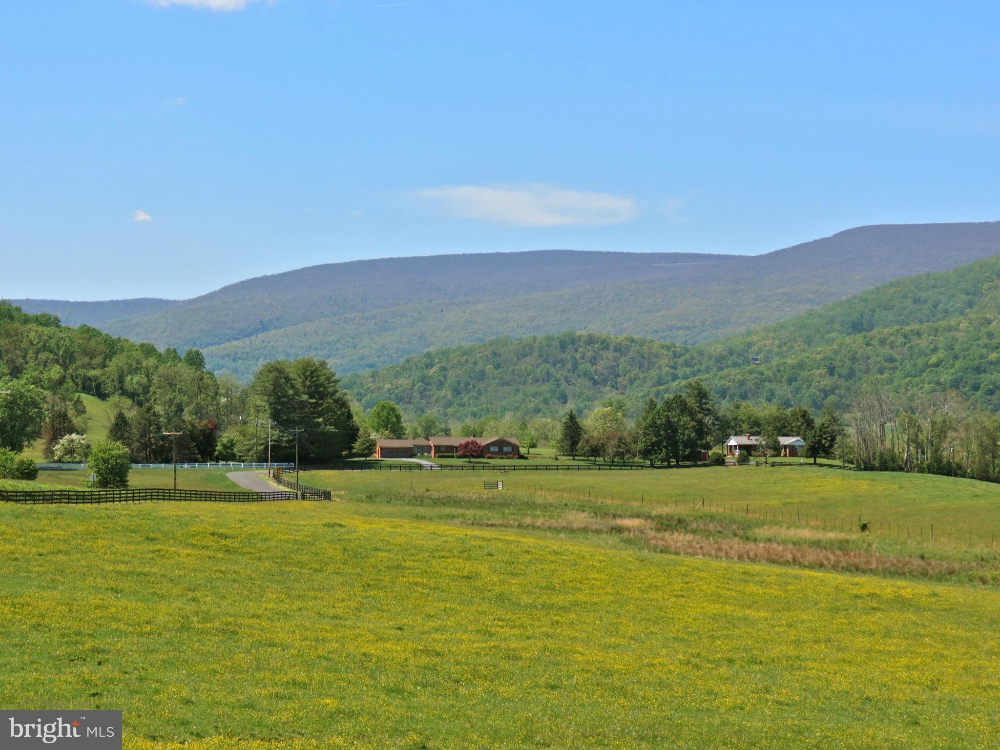 32 Harris Hollow Road Washington, VA 22747 - Photo 23 of 24 View of mountains when buttercups bloomed