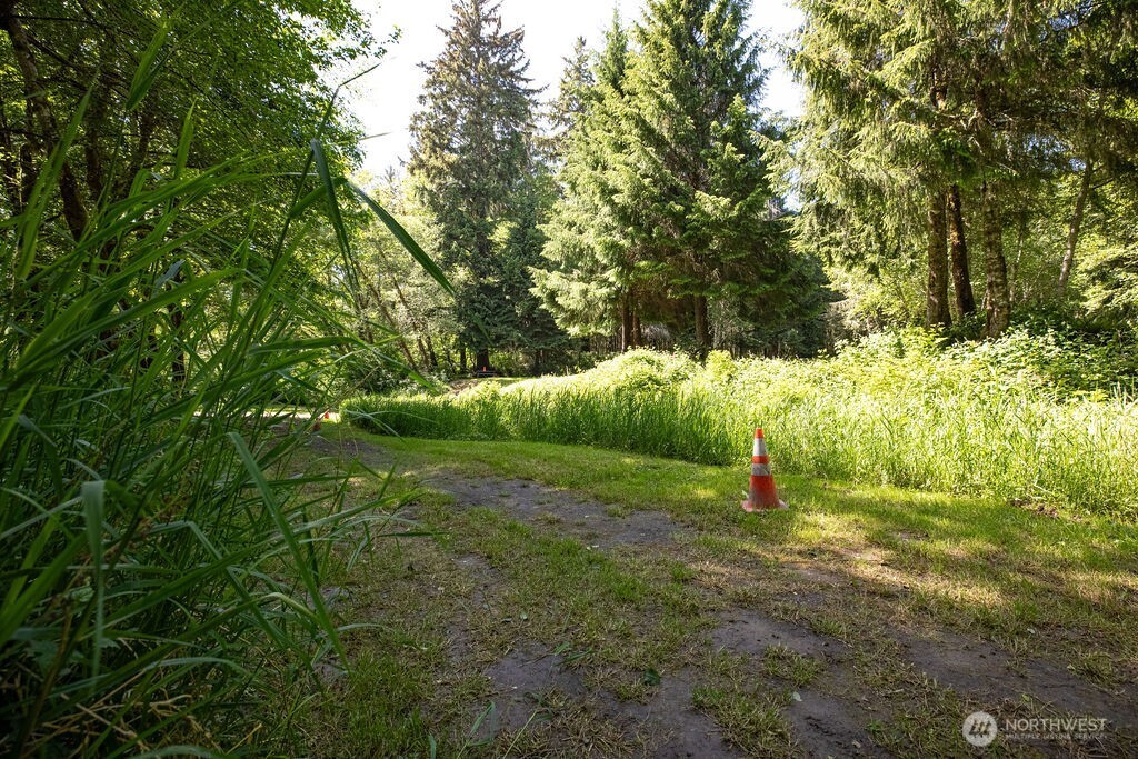 745 Green Road Forks, WA 98331 - Photo 13 of 26