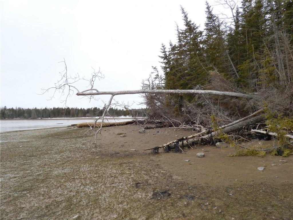 0 Rays Point Road Milbridge, ME 04658 - Photo 2 of 34 Small pockets of "sandy beach"