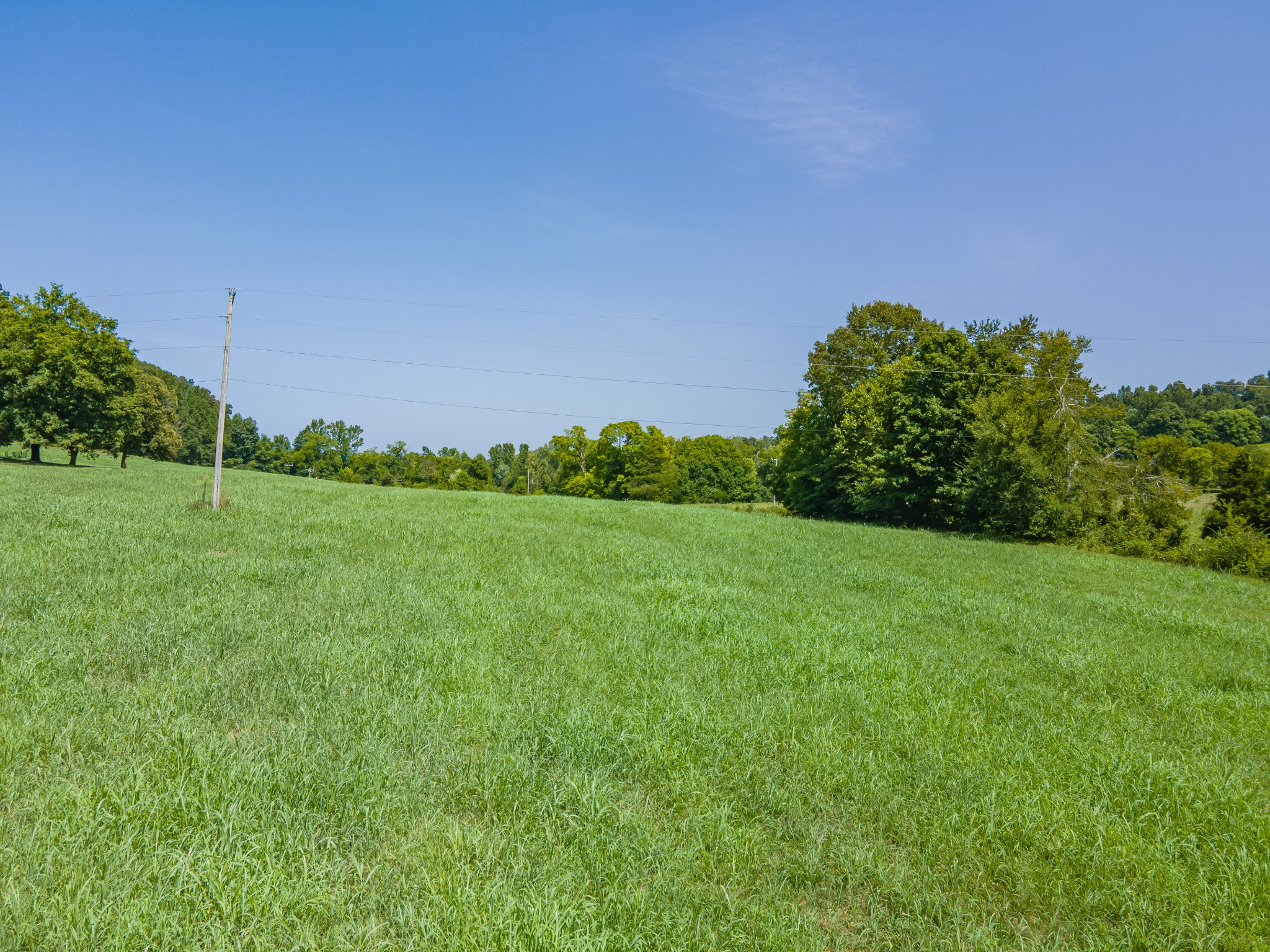 7020 Morgan Creek Road Centerville, TN 37033 - Photo 96 of 99 Gallery Image 96