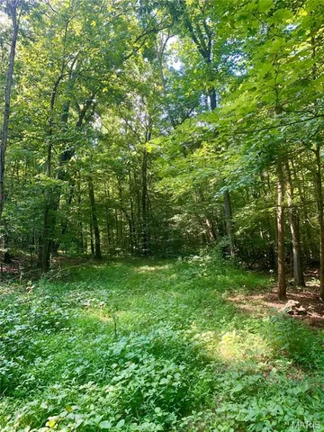 $299,900 | 236 Cypress Lake Road, Burfordville, MO 63739