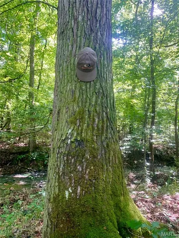 $299,900 | 236 Cypress Lake Road, Burfordville, MO 63739