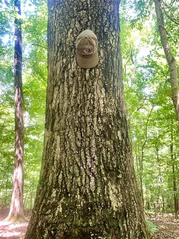 $299,900 | 236 Cypress Lake Road, Burfordville, MO 63739