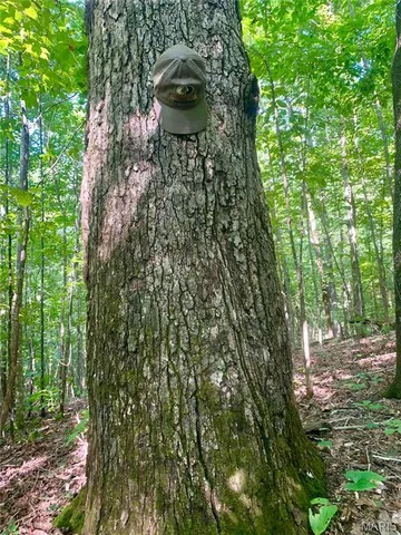 $299,900 | 236 Cypress Lake Road, Burfordville, MO 63739