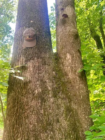 $299,900 | 236 Cypress Lake Road, Burfordville, MO 63739