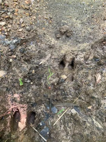 $299,900 | 236 Cypress Lake Road, Burfordville, MO 63739