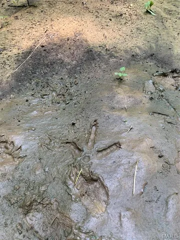 $299,900 | 236 Cypress Lake Road, Burfordville, MO 63739