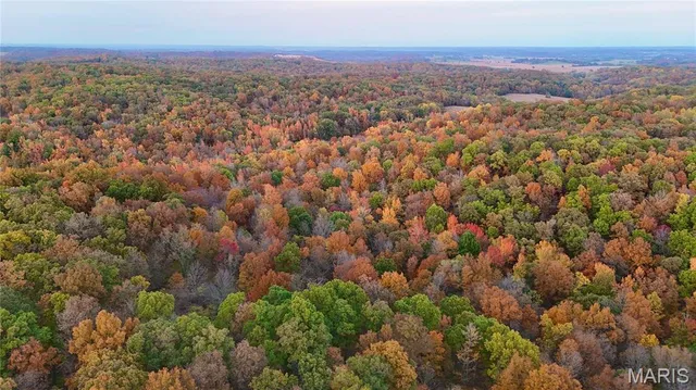 $299,900 | 236 Cypress Lake Road, Burfordville, MO 63739