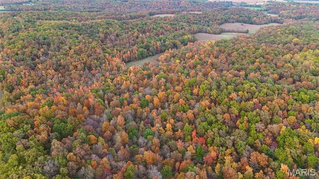 $299,900 | 236 Cypress Lake Road, Burfordville, MO 63739