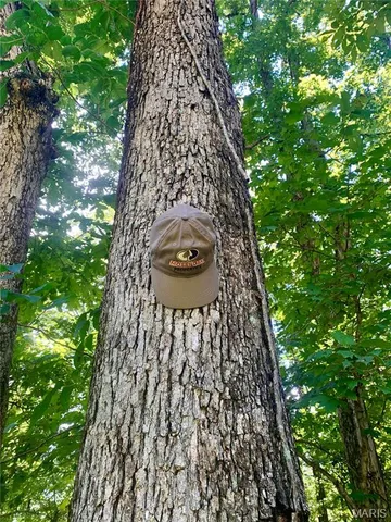 $299,900 | 236 Cypress Lake Road, Burfordville, MO 63739