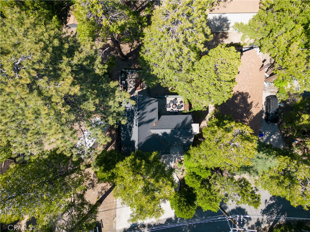 148 Bret Harte Road Lake Arrowhead, CA 92352 - Photo 22 of 23 a picture of flowers