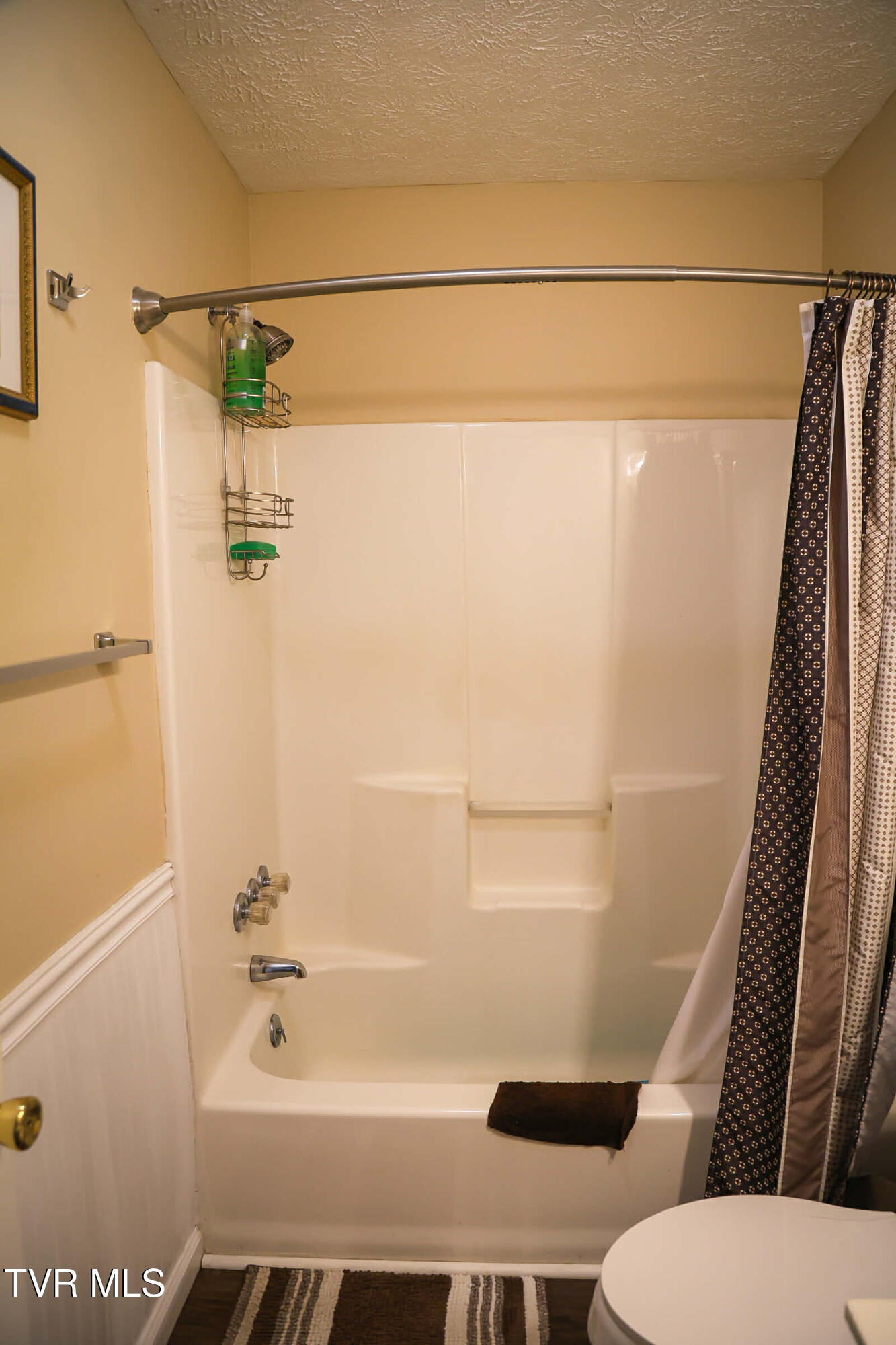 30221 Old Saltworks Road Meadowview, VA 24361 - Photo 32 of 45 Messenger_creation_D45278FA-3D5B-42C6-BB