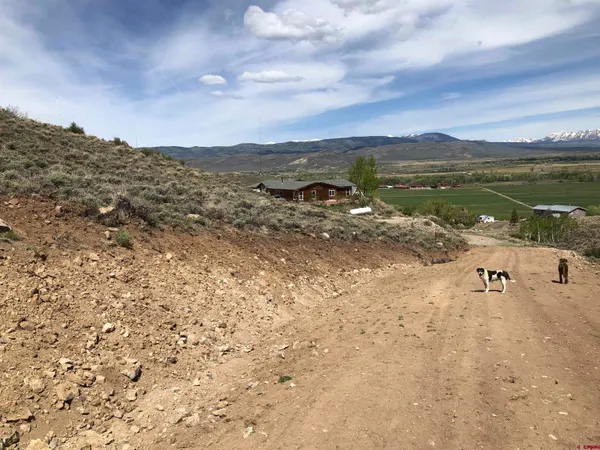 a view of an ocean beach