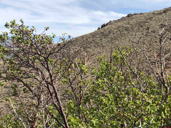 a view of a lake with a mountain in the background