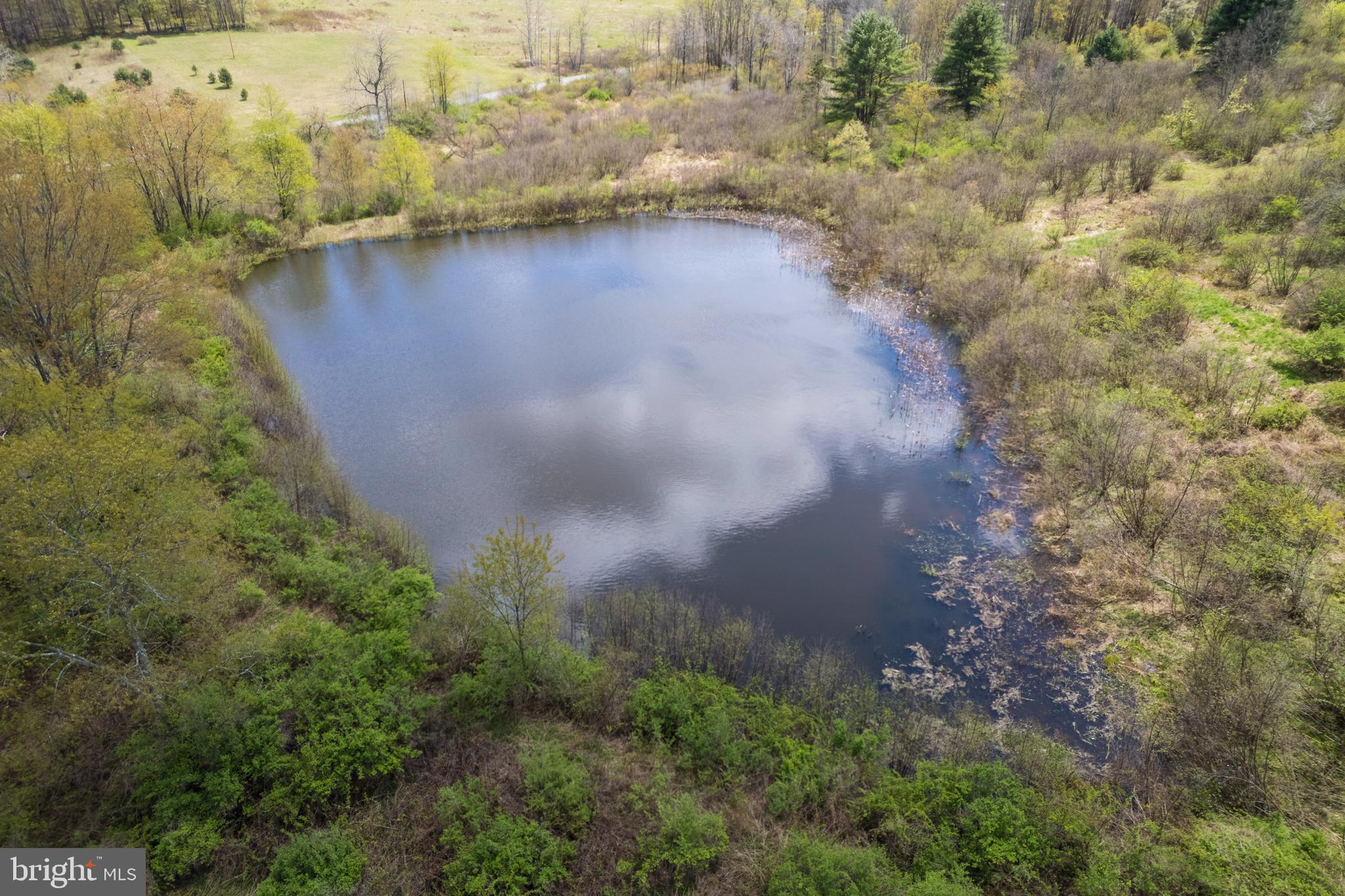 Holbrook Road Montrose, PA 18801 - Photo 8 of 147
