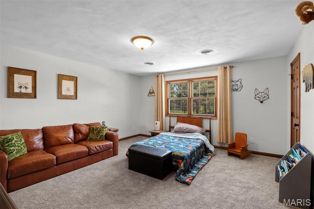 1211 Mann Road Millstadt, IL 62260 - Photo 17 of 45 Gallery Image 17
