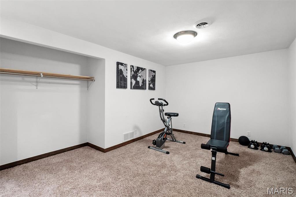 1211 Mann Road Millstadt, IL 62260 - Photo 32 of 45 Gallery Image 32