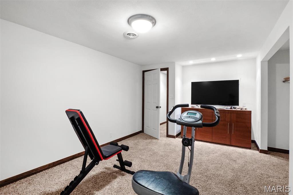 1211 Mann Road Millstadt, IL 62260 - Photo 33 of 45 Gallery Image 33