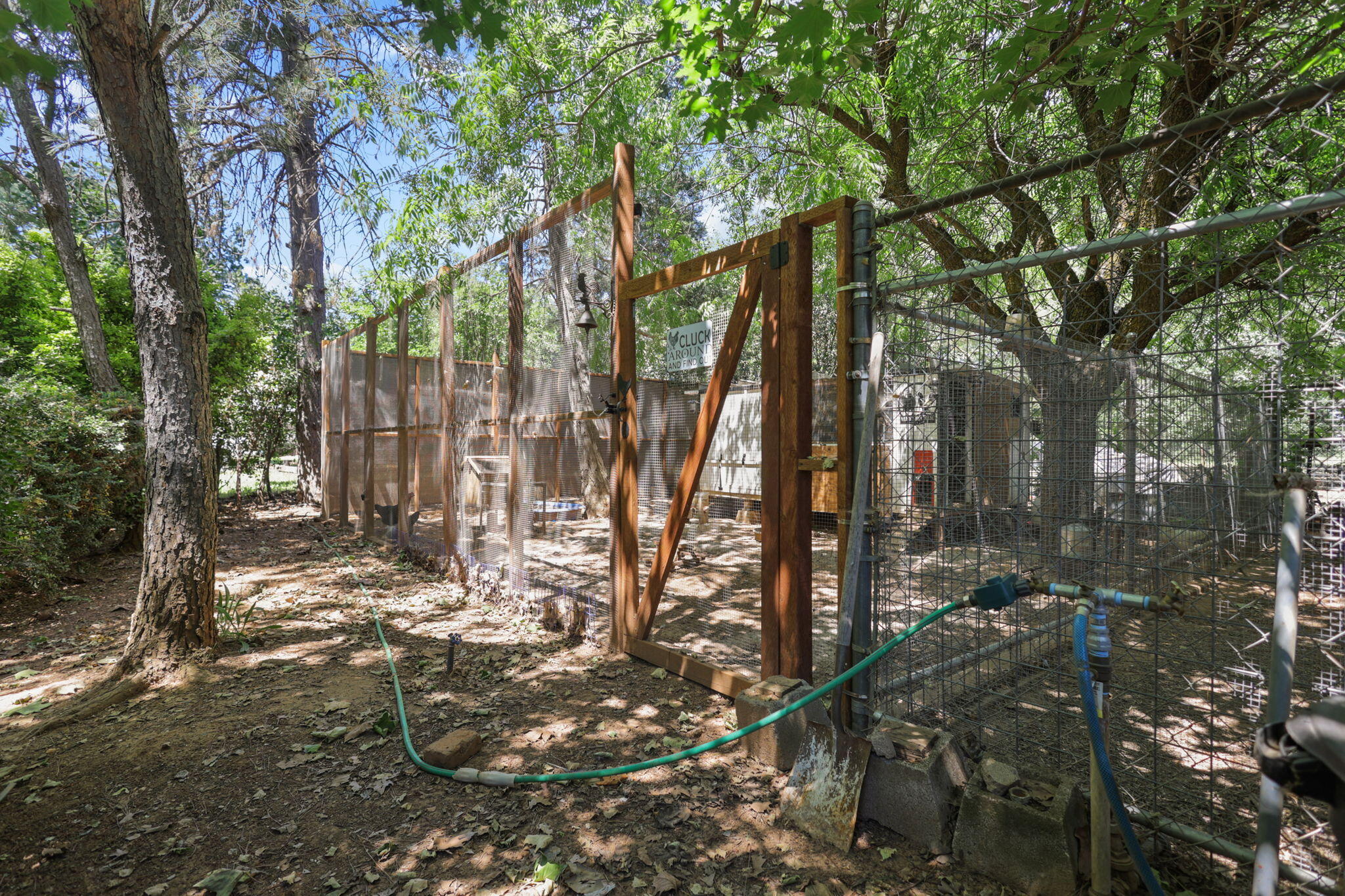 12481 Paskenta Road Red Bluff, CA 96080 - Photo 63 of 82 25-web-or-mls-8Q0A0129