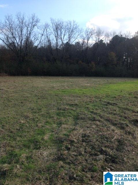 0 Lister Ferry Road, Unit 1 Gadsden, AL 35907 - Photo 26 of 30