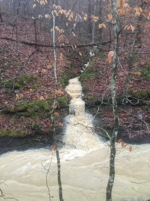 460.2 Cow Creek Road Ravenna, KY 40472 - Photo 25 of 46 Endless water sources!
