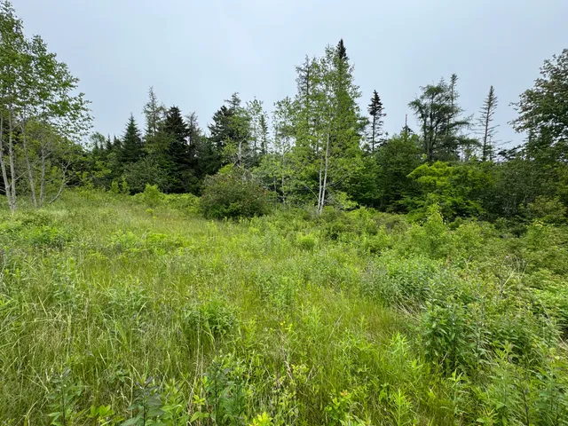 $159,900 | 780 Cutler Road, Machiasport, ME 04655