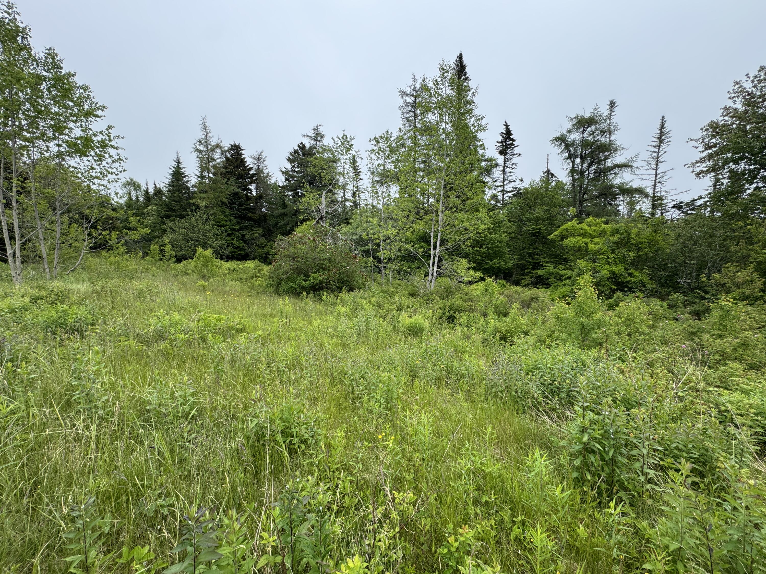 780 Cutler Road Machiasport, ME 04655 - Photo 18 of 19 2.73 Acres