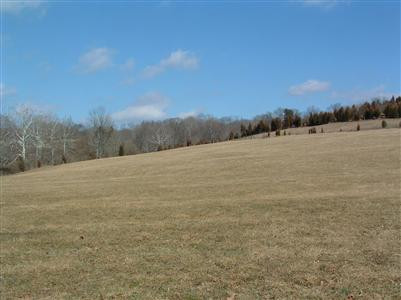4 Four Mile Road Melbourne, KY 41059 - Photo 1 of 1 Gallery Image 1