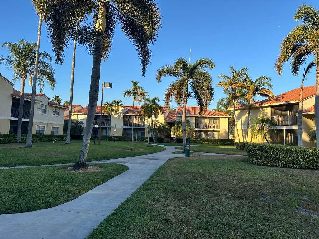 a view of a park with palm trees