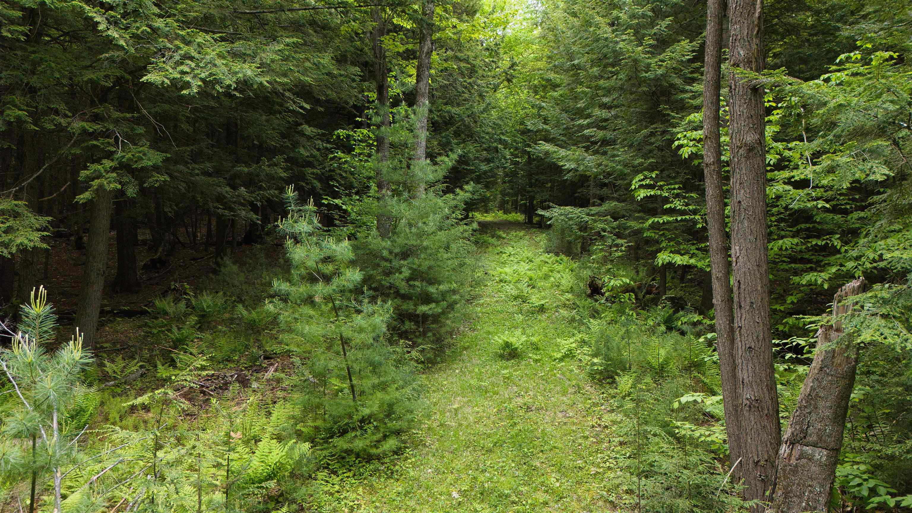 Lot 13 Beach Pond Road Wolfeboro, NH 03894 - Photo 16 of 17