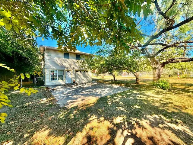 a view of a yard with plants and trees