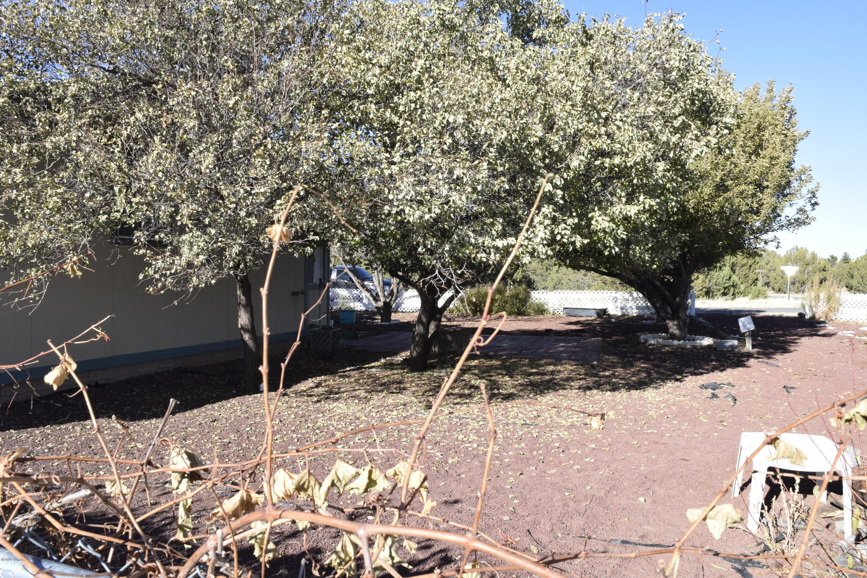 26 County Road Concho, AZ 85924 - Photo 12 of 21