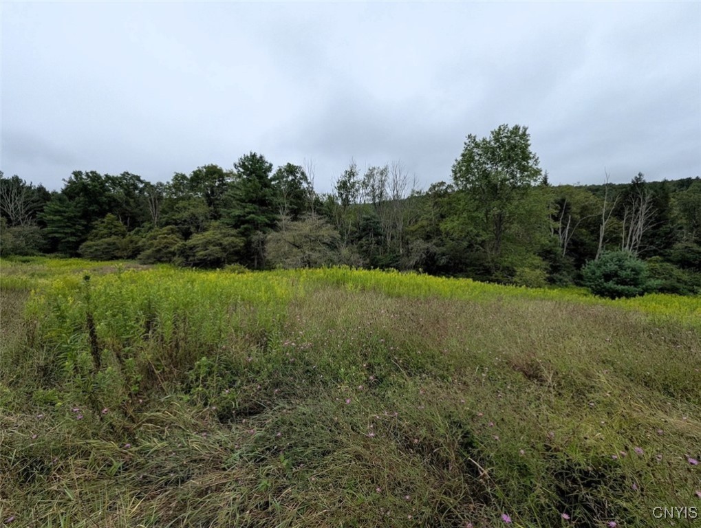 417 State Route Addison, NY 14801 - Photo 18 of 31