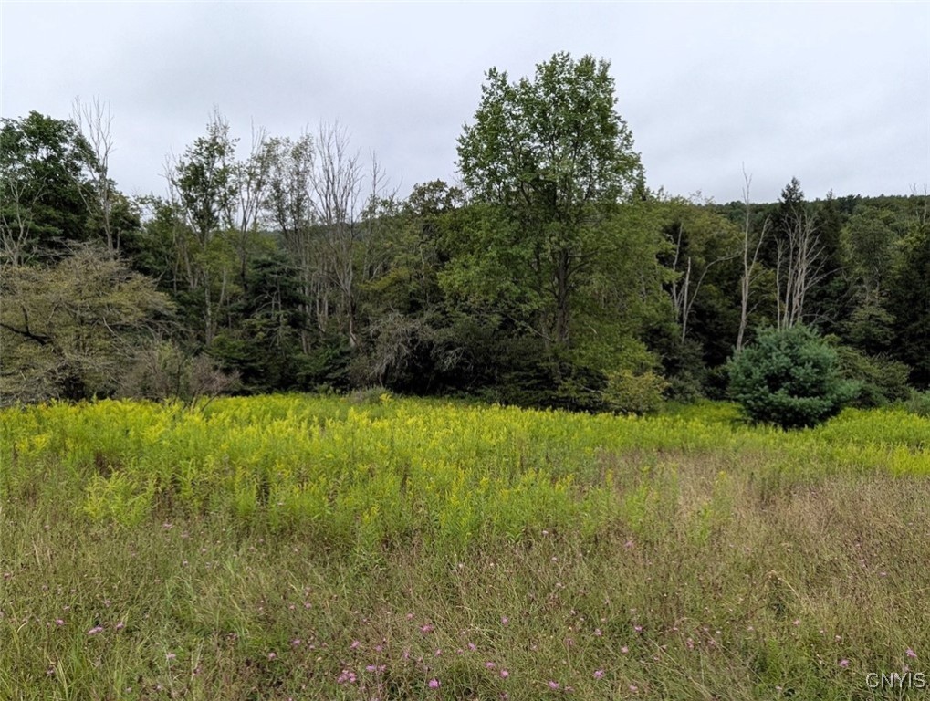 417 State Route Addison, NY 14801 - Photo 19 of 31